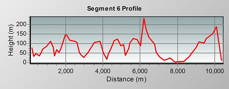 Segment 6 Profile